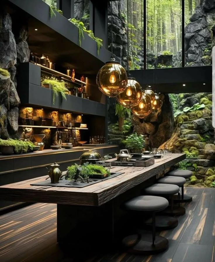 Biofilik — Mətbəx 3