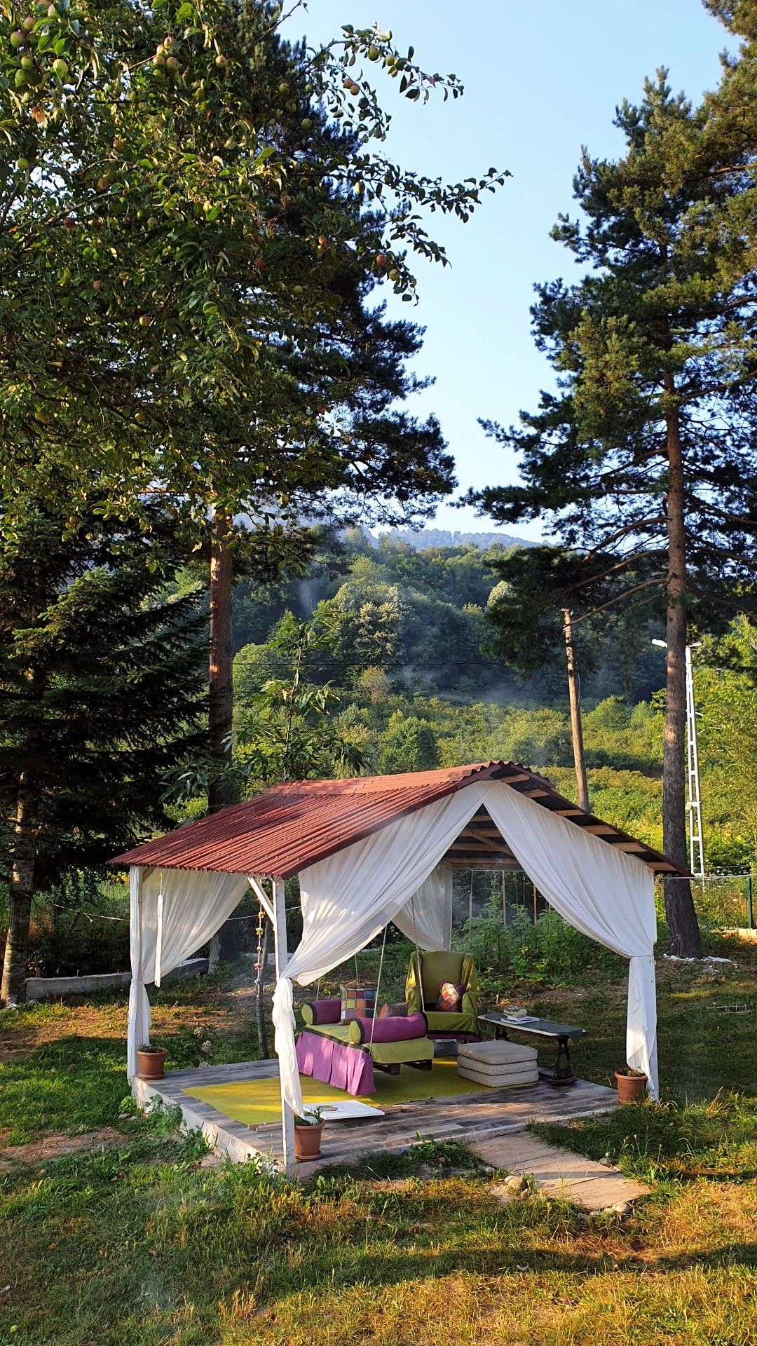 Dam və çardaq — 2025 5